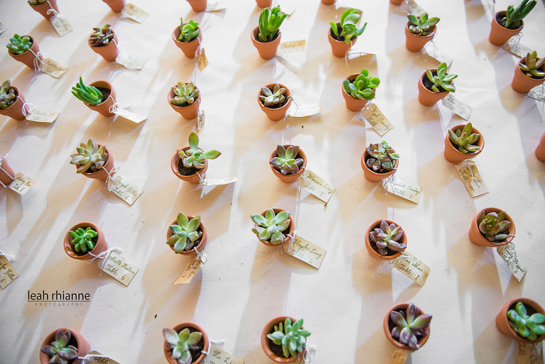 Evergreen Museum Wedding