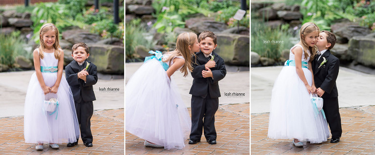 Towson Sheraton Baltimore North Wedding