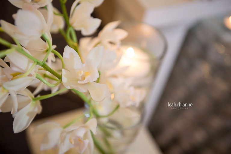Towson Sheraton Baltimore North Wedding