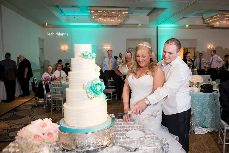 Towson Sheraton Baltimore North Wedding