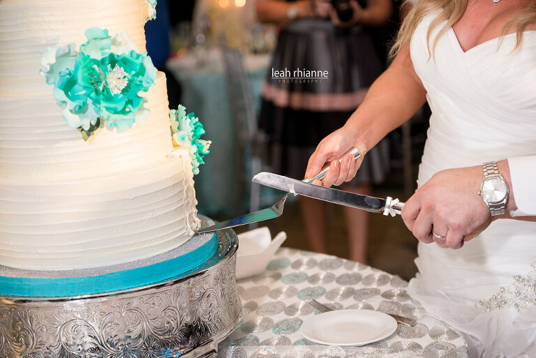 Towson Sheraton Baltimore North Wedding