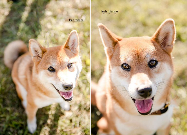 008-west_esession