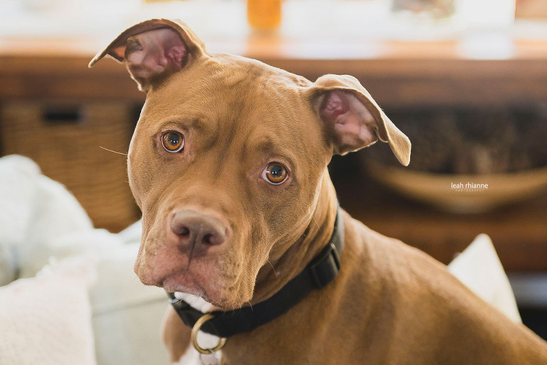008-kim_jake
