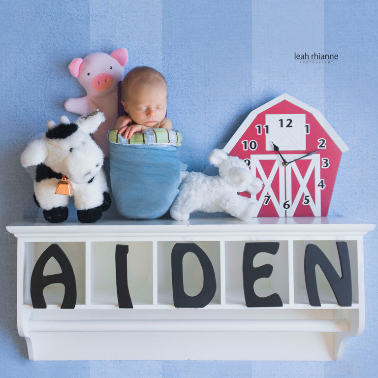 009-aiden